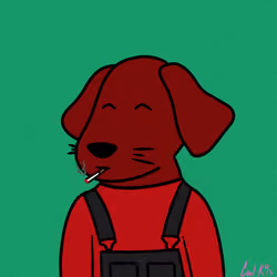 Cool K9 531