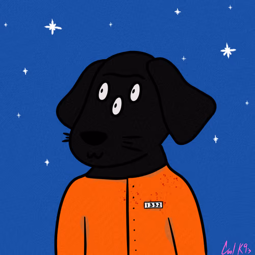 Cool K9 801