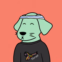 Cool K9 768