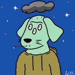 Cool K9 749