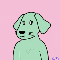 Cool K9 721