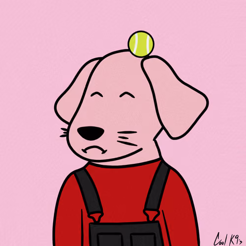 Cool K9 134
