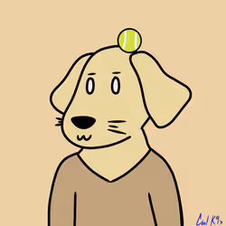 Cool K9 270