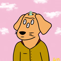 Cool K9 132
