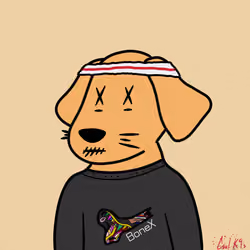 Cool K9 229