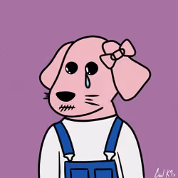 Cool K9 852