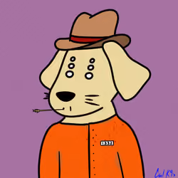 Cool K9 9
