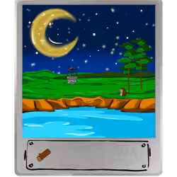 #491