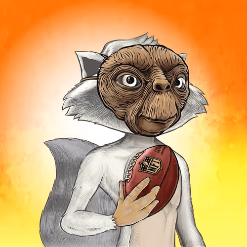 Retroraccoonsnft