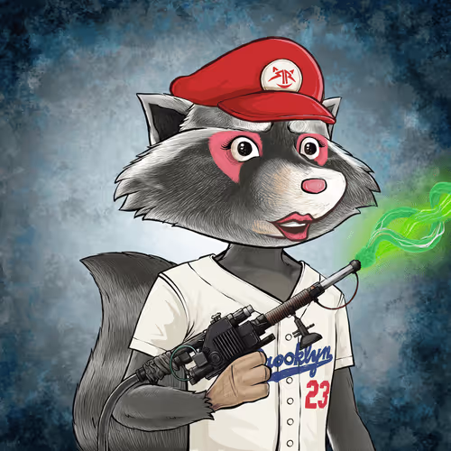 Retroraccoonsnft