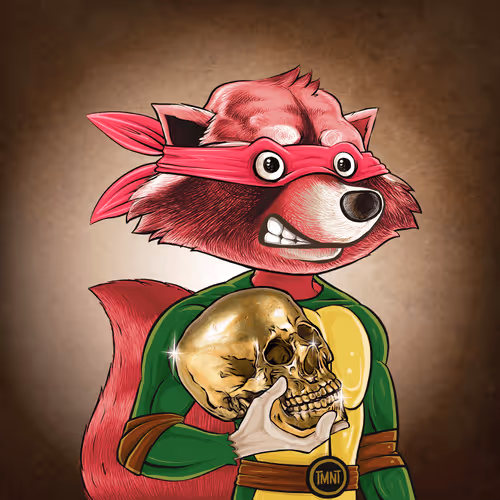 Retroraccoonsnft