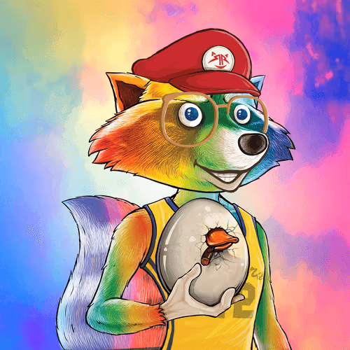 Retroraccoonsnft
