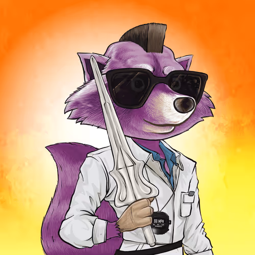 Retroraccoonsnft
