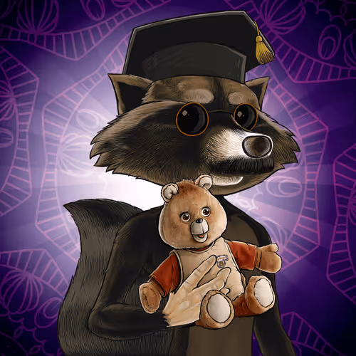 Retroraccoonsnft