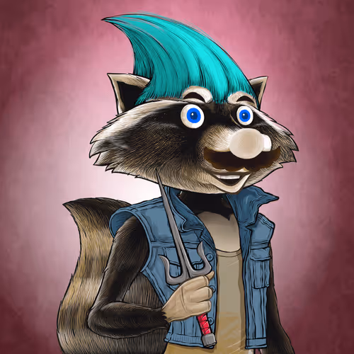 Retroraccoonsnft