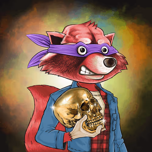 Retroraccoonsnft