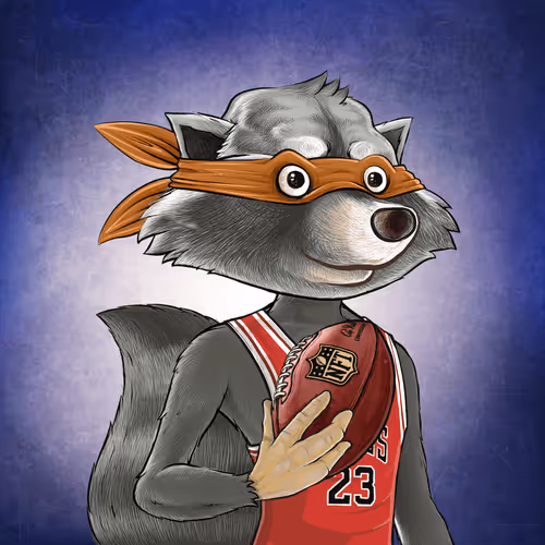 Retroraccoonsnft