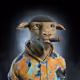 291