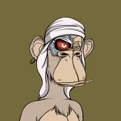 The Saudi Ape #2505