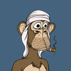 The Saudi Ape #2008