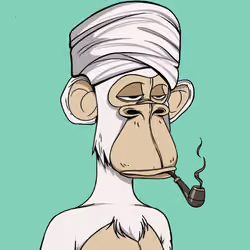 The Saudi Ape #3817