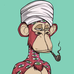 The Saudi Ape #1245