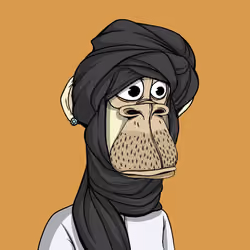 The Saudi Ape #2273