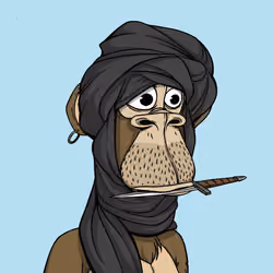 The Saudi Ape #705