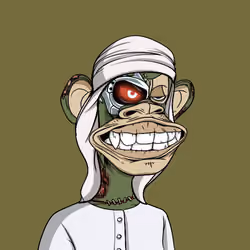 The Saudi Ape #711
