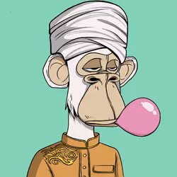 The Saudi Ape #216