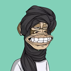 The Saudi Ape #3655
