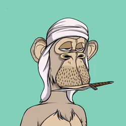 The Saudi Ape #1866