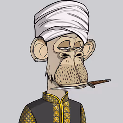 The Saudi Ape #584