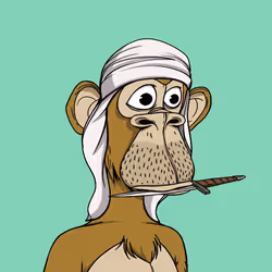 The Saudi Ape #639