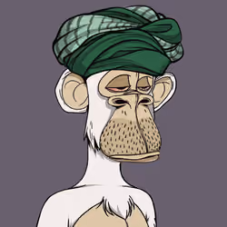 The Saudi Ape #2021