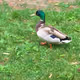 Unidentified contract - 5IiI6s785r