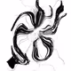 Octopus Symbolism