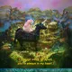 neverland