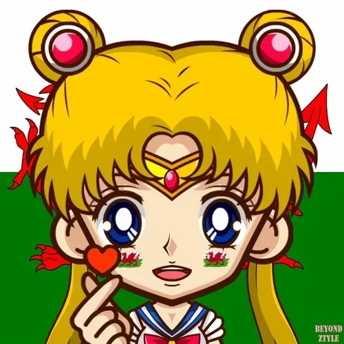 Hero27 Sailor Moon Wales #145