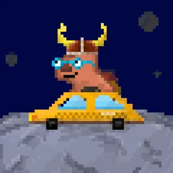 1005