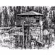 Overgrown house #10