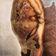 AI Generated Nude Portrait #7 Frame #13