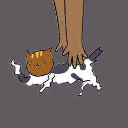 1555