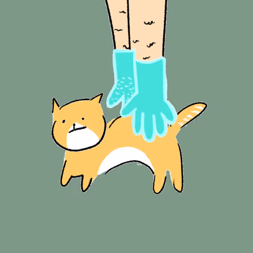 #4795 Hashimoto Cat