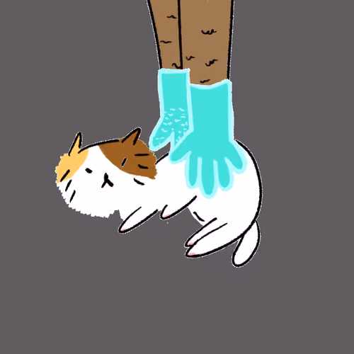 #4919 Hashimoto Cat