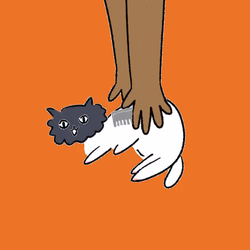 #1242 Hashimoto Cat