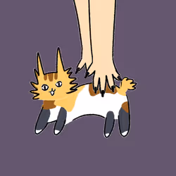 2653