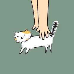 #3000 Hashimoto Cat