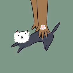 2323