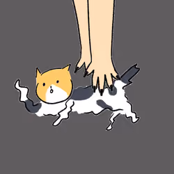 #2999 Hashimoto Cat